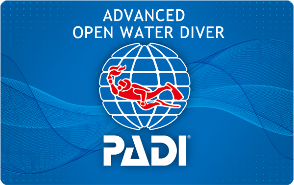 7/15（金）PADIアドバンスド オープン ウォーター ダイバー コースが修了
