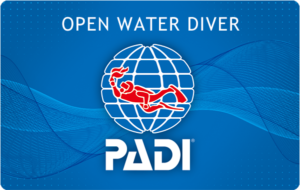Read more about the article 6/23（水）PADIオープン ウォーター ダイバー コースのスタート
