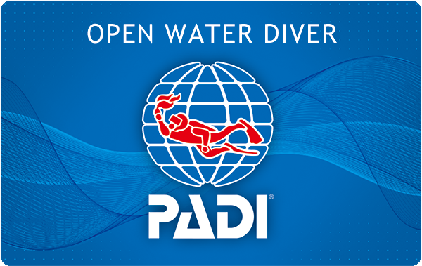 6/23（水）PADIオープン ウォーター ダイバー コースのスタート