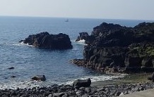 Read more about the article 6/10（木）連日、穏やかなコンディションの海洋公園