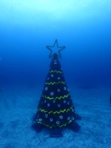 11/28（月）伊豆海洋公園の海中にクリスマスツリーを設置