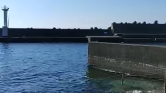 投稿についてもっと詳しく 8/27(水)　リクエストで八幡野ファンダイビング