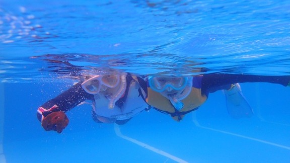 投稿についてもっと詳しく 8/13(水) 午前は伊豆海洋公園で、午後は富戸でシュノーケリング