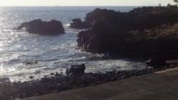 投稿についてもっと詳しく 11/20(木)　次第に落ち着いた海況に