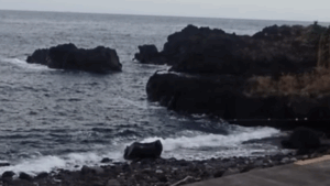 投稿についてもっと詳しく 11/21(金)　穏やかな海洋公園