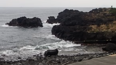 投稿についてもっと詳しく 12/3(水) 時折うねりの入る海洋公園